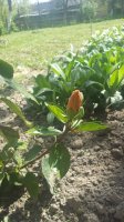 20150509_142047.jpg