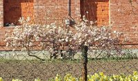 20150422_173934-1.jpg