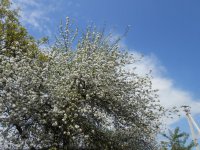 DSCN3990.JPG