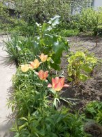 DSCN4001.JPG