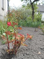 DSCN4009.JPG