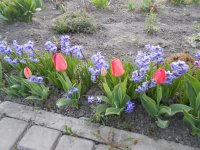 DSCN3917.JPG