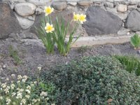 DSCN3919.JPG