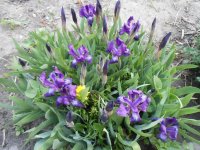 DSCN3930.JPG