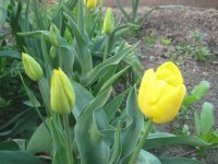 IMG_5036.JPG