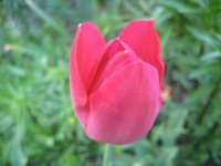 IMG_5039.JPG