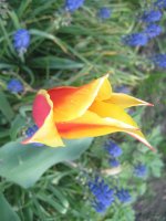 IMG_5042.JPG