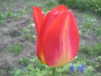 IMG_5043.JPG