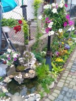 IMG_20150513_104458.jpg