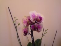 20150513_113837.jpg