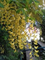 IMG_20150520_185518.jpg