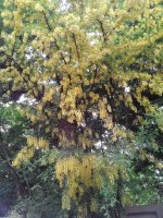 IMG_20150520_185501.jpg