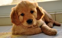 artleo.com-2689.jpg