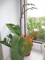 DSC05173.JPG