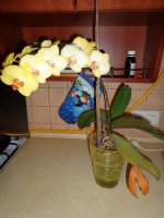DSC05112.JPG
