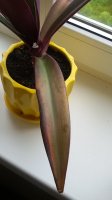 20150525_134939.jpg