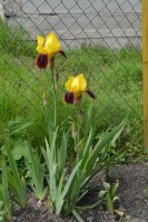 DSC_0632.JPG