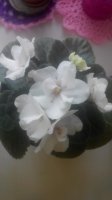 20150602120909.jpg