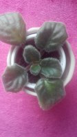 20150605093611.jpg