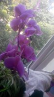 20150608115657.jpg