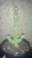 20150608115358.jpg