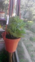 20150608115324.jpg