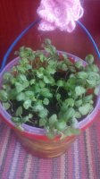 20150608115021.jpg