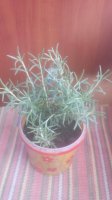 20150608115207.jpg