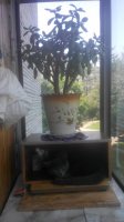 20150608115339.jpg