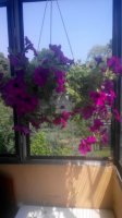 20150608115250.jpg
