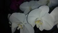 IMG_20150608_155054.jpg