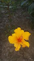 20150607_204635.jpg