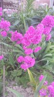 20150607_204836.jpg