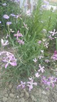 20150607_204808.jpg