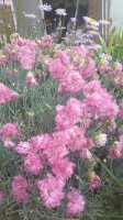 20150607_204752.jpg