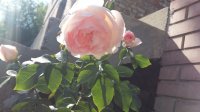 20150609_163330.jpg