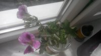 20150614171108.jpg