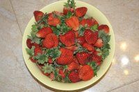 DSC_1296.JPG