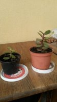 20150616_185956.jpg