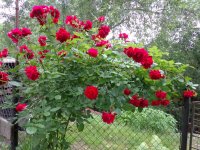 DSC05275.JPG