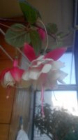 20150621092158.jpg