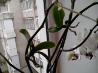 IMG_20150620_135158.jpg