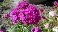 IMG_20150704_170642.jpg