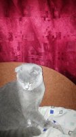 IMG_20141015_000752.jpg
