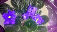 20150208151325.jpg