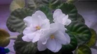 20150208160600.jpg