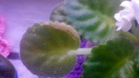 20150208160615.jpg