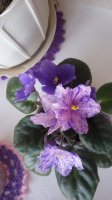 20150707_152314.jpg