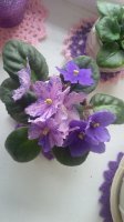 20150714_122618.jpg