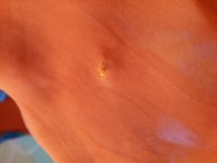 20150809_150818.jpg